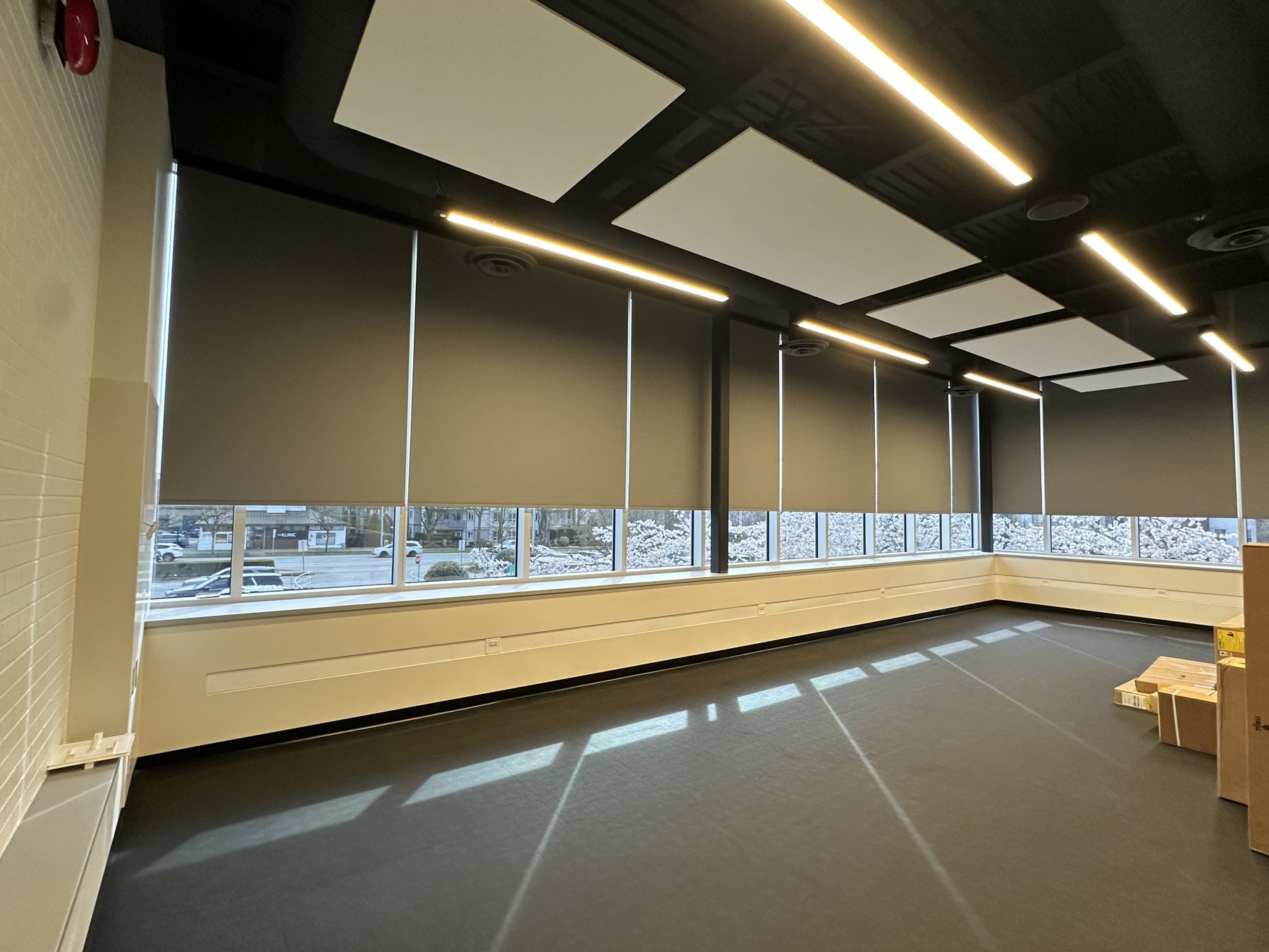 Row of blackout roller shades in a commercial office