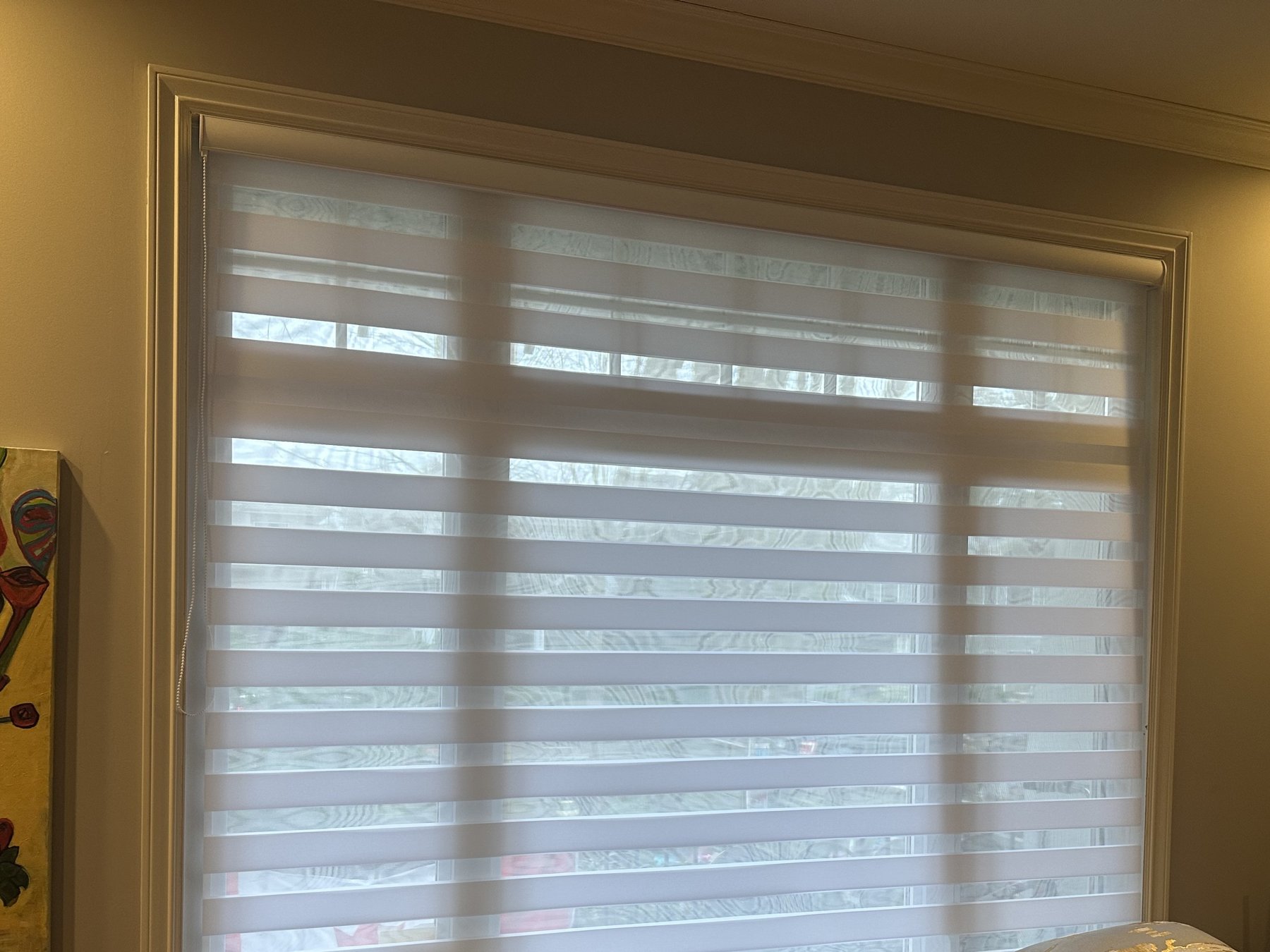 Zebra shades in a Vancouver living room